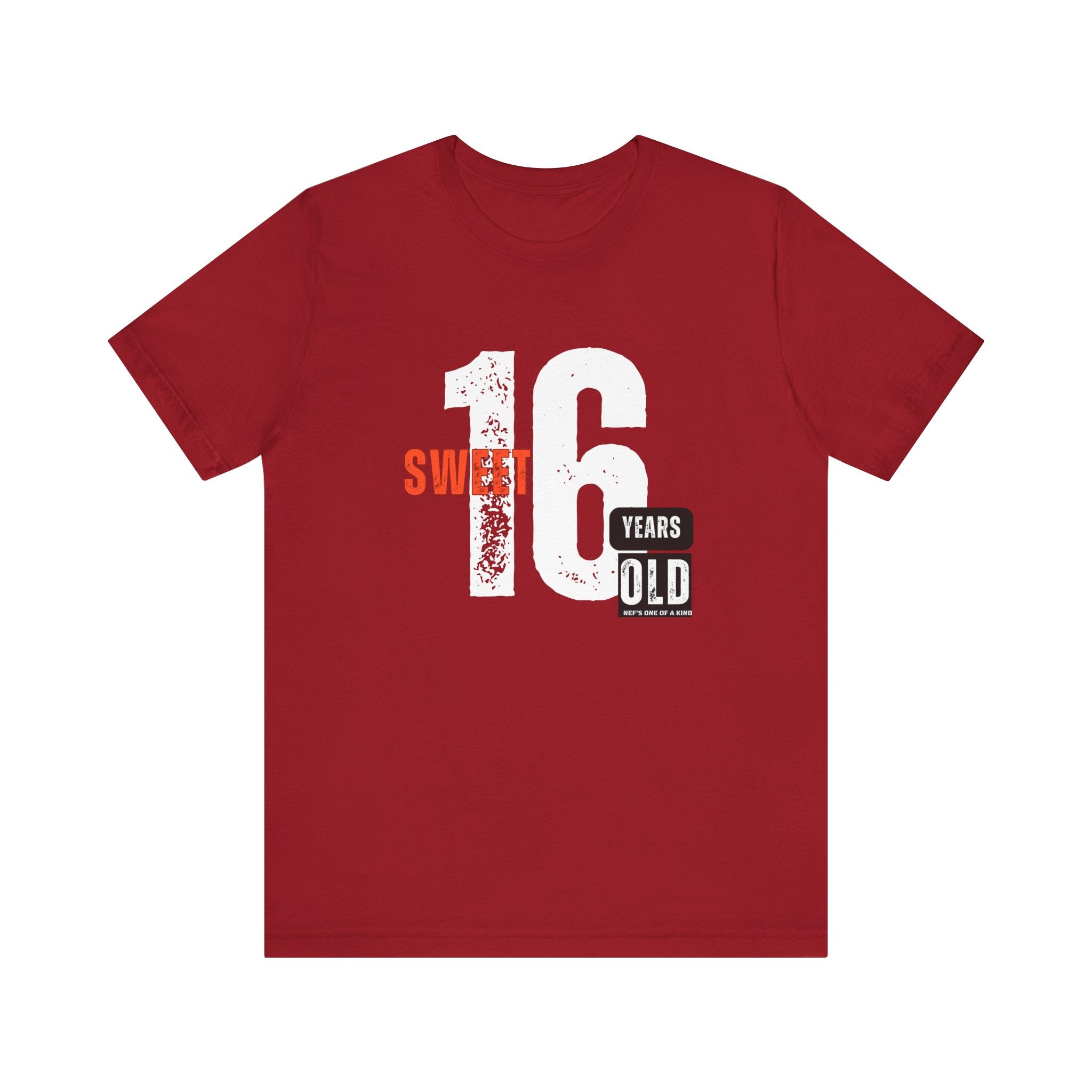 16year Old Unisex Adult Tee
